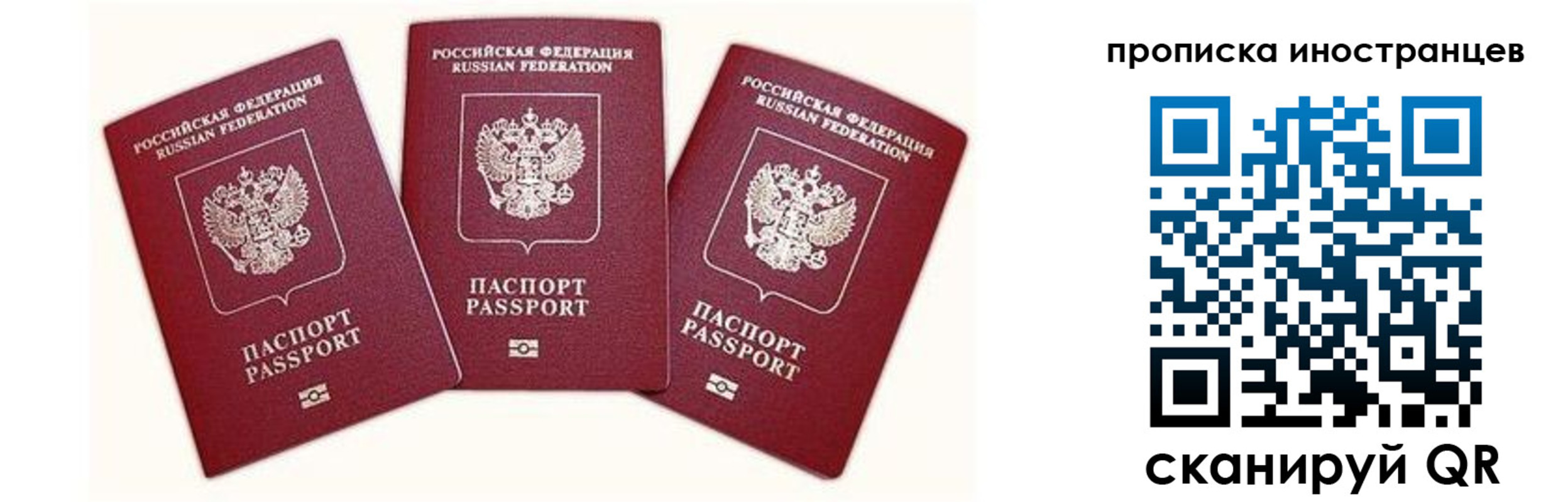прописка в Болотном