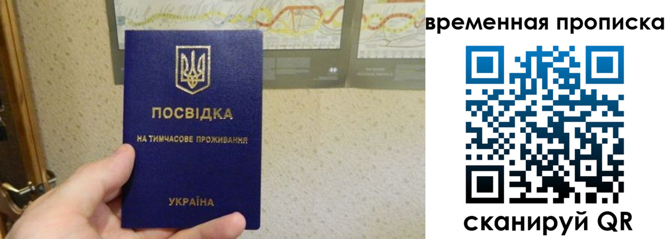 прописка для кредита в Болотном